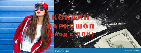 сатива Гусев
