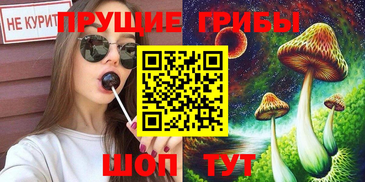 Острогожск  Псилоцибиновые грибы Psilocybe  Вход с VPN 